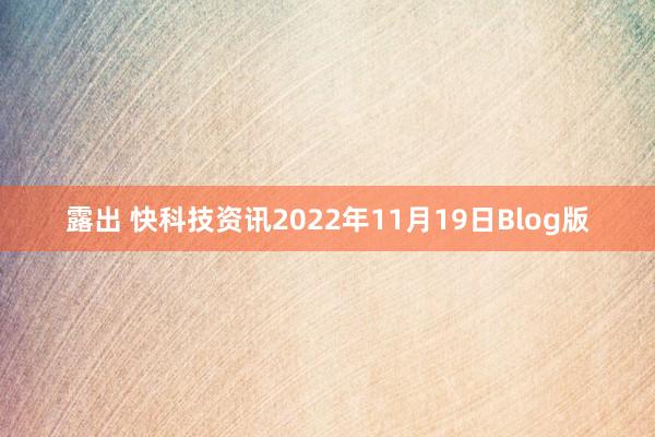 露出 快科技资讯2022年11月19日Blog版